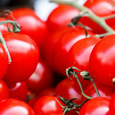Grow Your Own Southern Harvest